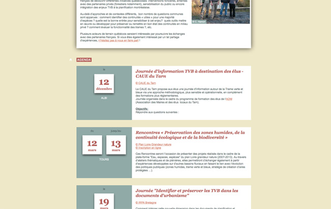 newsletter_tvb_9